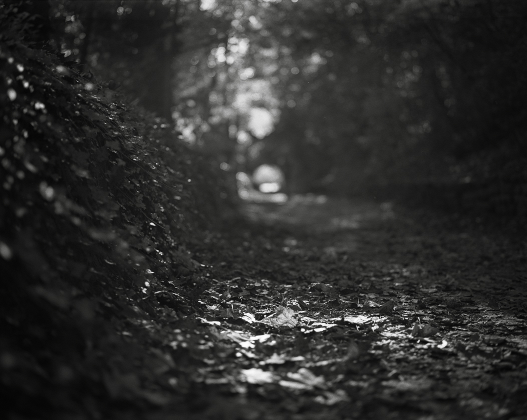 Vuescan, Lightroom and DNG Plus The Lomography DigitaLIZA