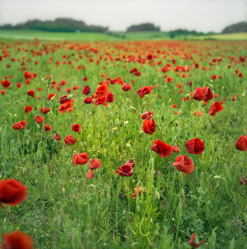 New Kodak Portra 400 Beautiful When Pushed One Stop – Review Update